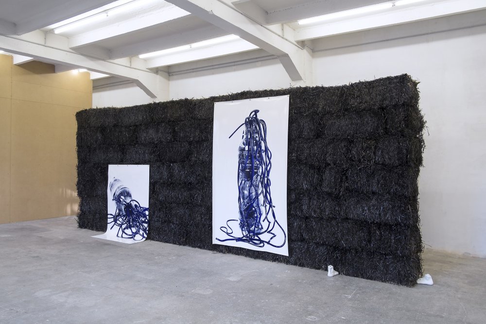 Aline Bouvy, 'Sorry I slept with your dog' (2015) Exhibition view. Courtesy Exo, Paris.