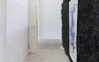 Aline Bouvy, 'Sorry I slept with your dog' (2015) Exhibition view. Courtesy Exo, Paris.