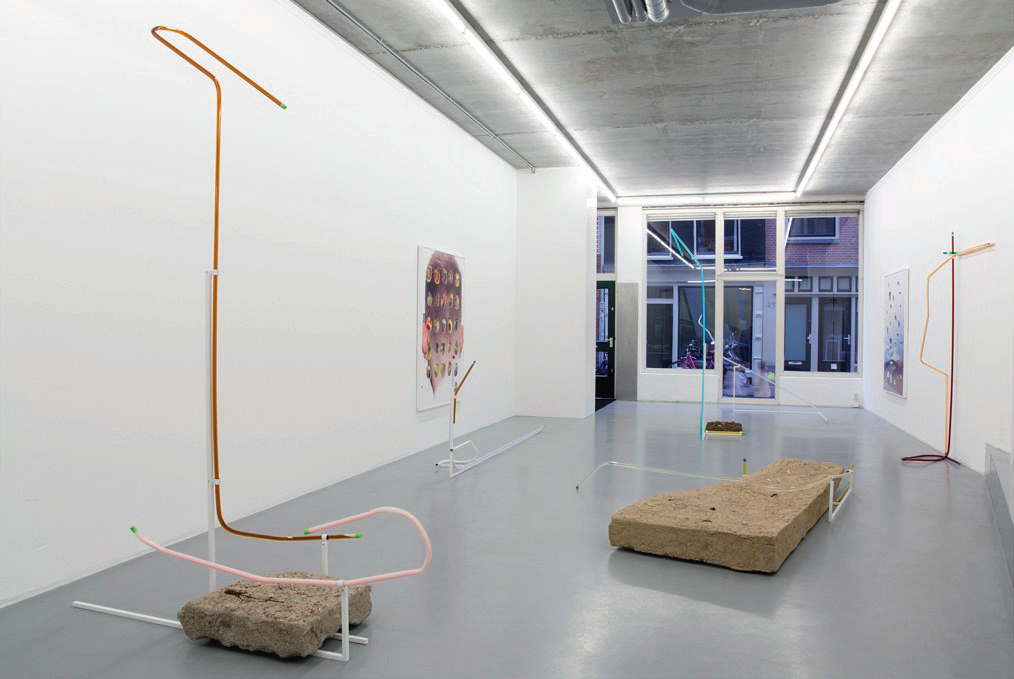Anne de Vries, THE OIL WE EAT (2014) @ Martin van Zomeren, Amsterdam installation view. Courtesy the gallery.