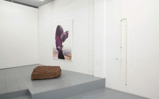 2Anne de Vries, THE OIL WE EAT (2014) @ Martin van Zomeren, Amsterdam installation view. Courtesy the gallery.