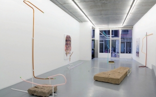 Anne de Vries, THE OIL WE EAT (2014) @ Martin van Zomeren, Amsterdam installation view. Courtesy the gallery.