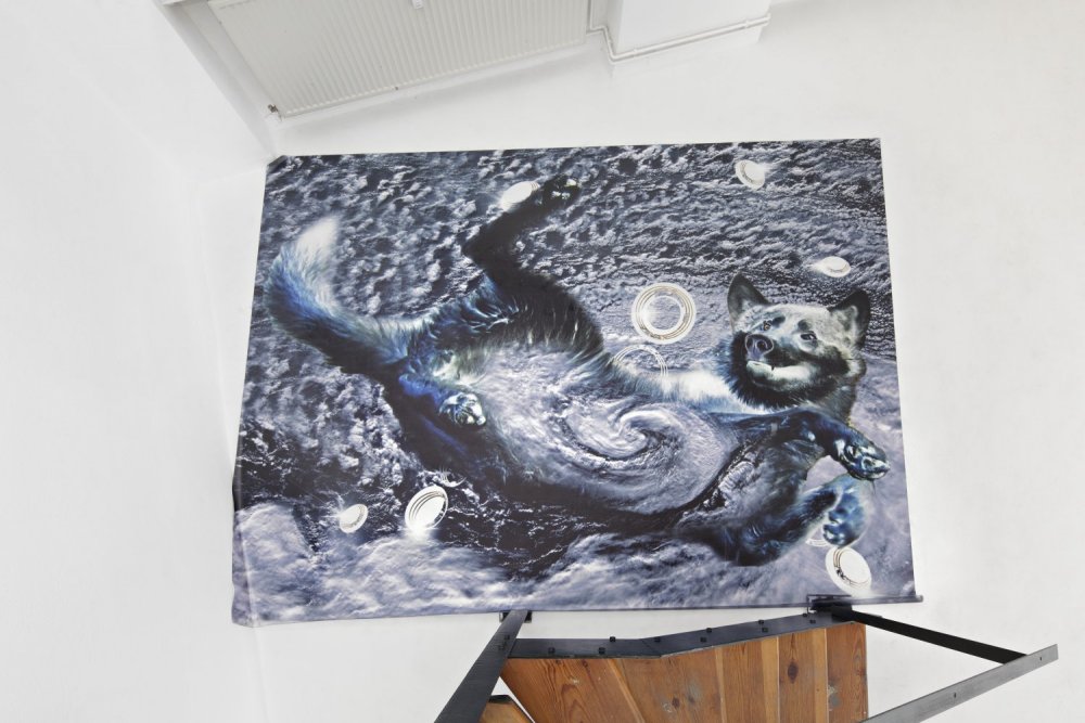 Julie Grosche, ‘Zen out’ (2015). Install view. Courtesy L’Atelier-ksr, Berlin.