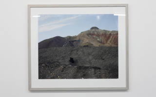 Ieva Epnere, <i>A No-Man's Land, An Everyman's Land</i> (2015) Exhibition view. Courtesy kim?.