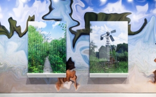 Constant Dullaart, windmill c-prints on aluminium, glass, installation view, room 3, 2014