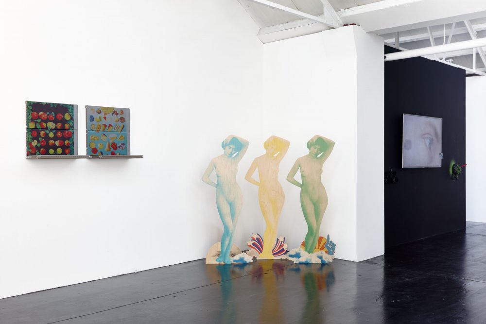 'Cookie Gate' (2015) Exhibition view. Courtesy the gallery Ellis King, Dublin.
