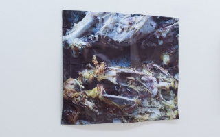 Deanna Havas, 'Bird' (2015). Install view. Courtesy LD50, London.