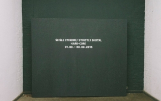 <i>HARD-CORE: STRICTLY DIGITAL</i> (2015) Exhibition view. Courtesy Wyspa Institute of Art.