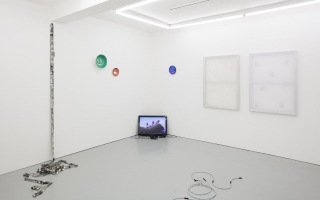 8 Heathers (2014). Installation view. Rowing, London.