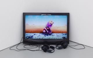 9 Rachel Maclean, 'LolCats’ (2012). Install view. Courtesy Rowing Projects.