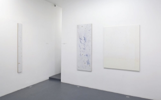 Shanta Rao + Jo-ey Tang. <i>PATCH</i> (2015). Exhibition view. Courtesy Galerie Nathalie Obadia, Paris.