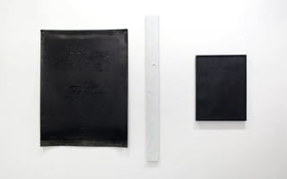 Shanta Rao + Jo-ey Tang. <i>PATCH</i> (2015). Exhibition view. Courtesy Galerie Nathalie Obadia, Paris. Rao_Jo-ey Tang_Galerie Nathalie Obadia_150