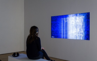 Andrea Crespo. Installation view of <i>Looks</i> (22 April 2015 - 21 June, 2015). Institute of Contemporary Arts London (ICA). Photo by Mark Blower.