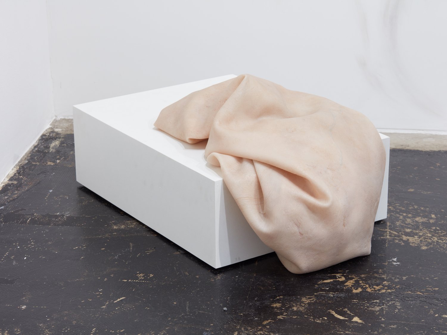 Ivana Basic, <i>In my scarred fevered skin you see the end. In your healthy flesh I see the same</i> (2016). Installation view. Photo by Ari King. Courtesy the artist and LOYAL, Stockholm