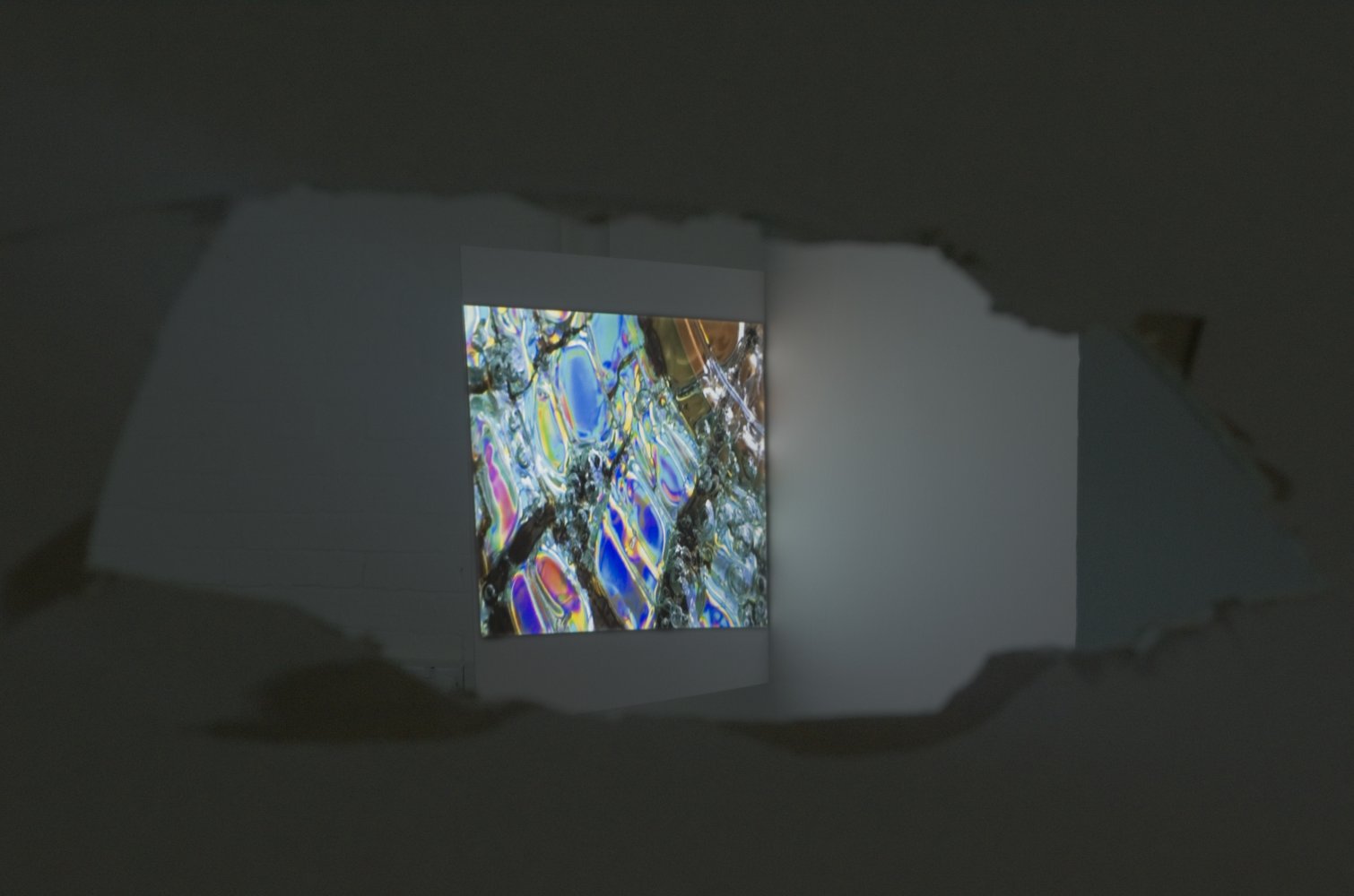 Paul Kneale, SEO and Co. (2014) @ tank.tv installation view. Courtesy the artist.