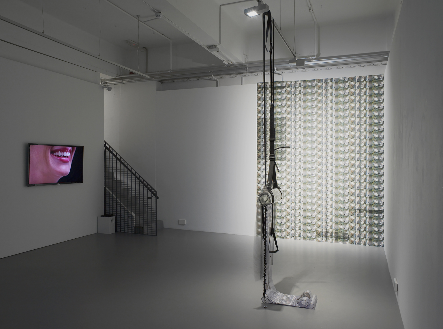 Installation shot of Phantom Limbs, 2014 at Pilar Corrias, London