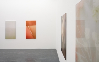 Rosa Rendl, 'What you desire' (2015). Exhibition view. Courtesy 21er Haus, Vienna.