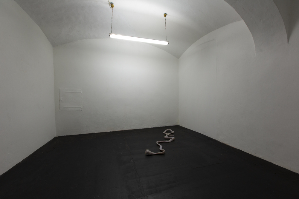 Sophie Serber, ‘Autophagy II’ (2020). Installation view. Courtesy Shore, Vienna.