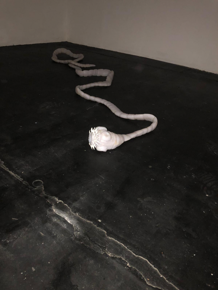 Sophie Serber, ‘Autophagy II’ (2020). Installation view. Photo by Sophie Serber. Courtesy the artist.