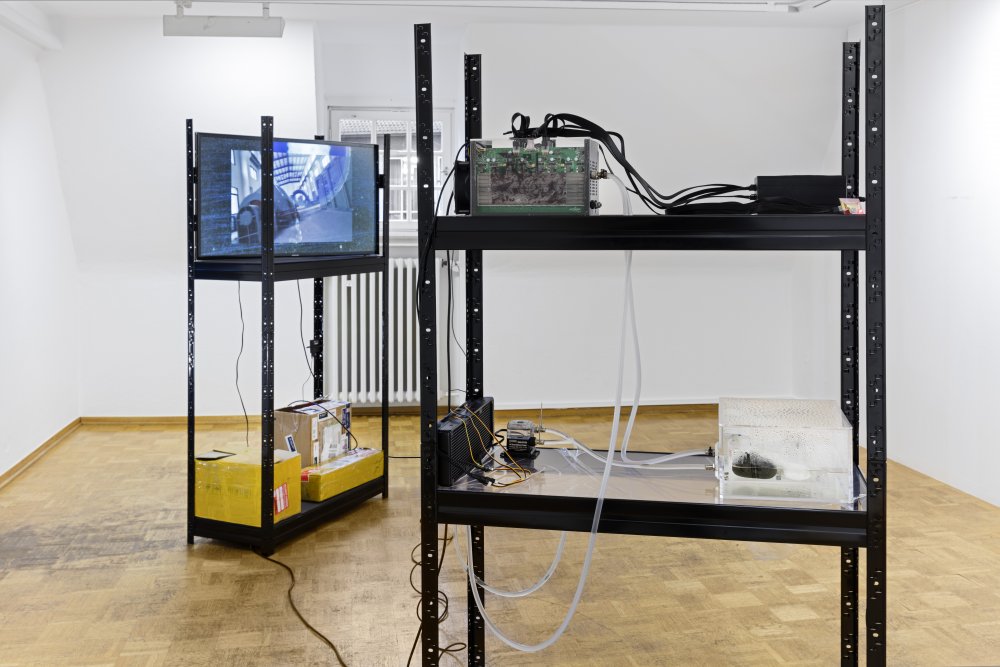 Yuri Pattison @ <i>Transparencies</i> (2015-16). Installation view. Courtesy Kunstverein, Bielefeld.