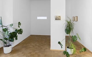 Juliette Blightman @ <i>Transparencies</i> (2015-16). Installation view. Courtesy Kunstverein, Bielefeld.