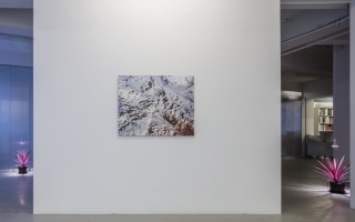 Santiago Mostyn Norway,  'Snowy  Mountain'  (2011) Installation view. Courtesy the artist + Andréhn-Schiptjenko, Stockholm. Photo: Jean-Baptiste  Béranger